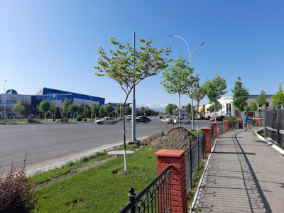Фергана