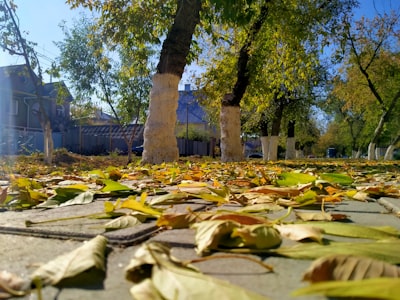 Костанай